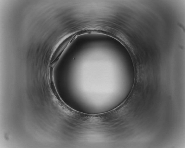 X0000100340984200806051534