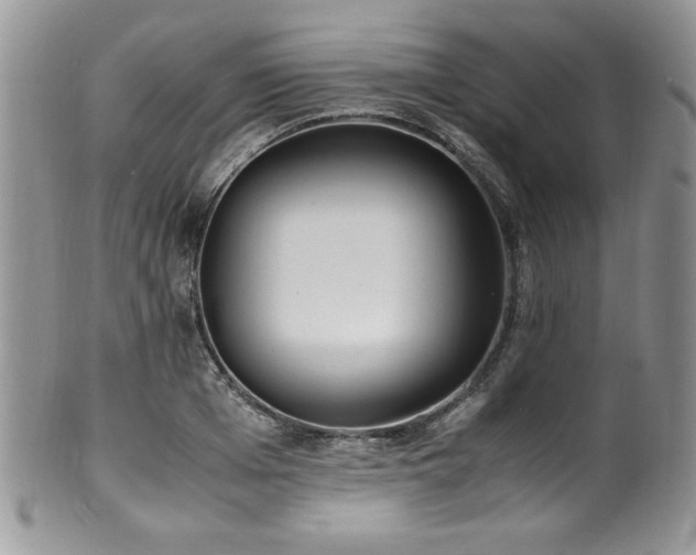 X0000100340985200806051534