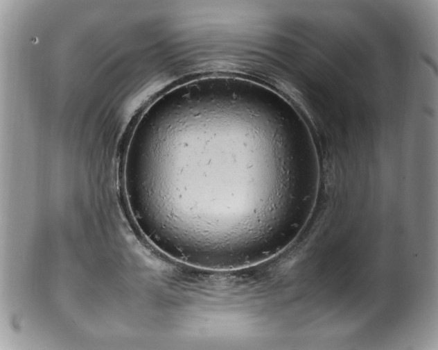 X0000100340987200806051534