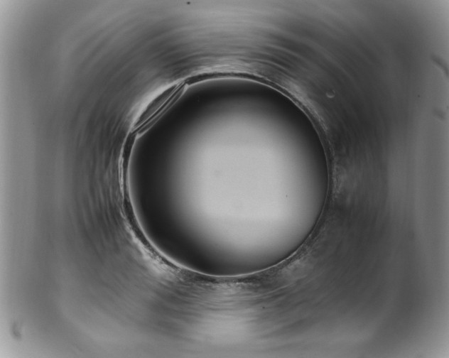 X0000100340988200806051534