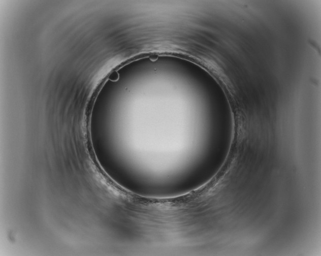 X0000100340990200806051534