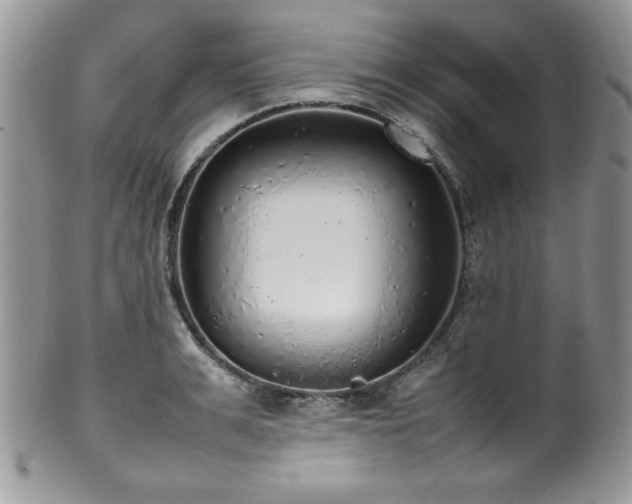 X0000100340991200806051534