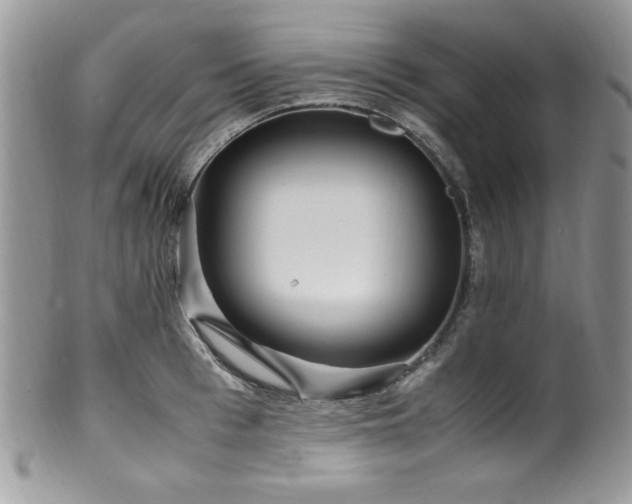 X0000100340993200806051534