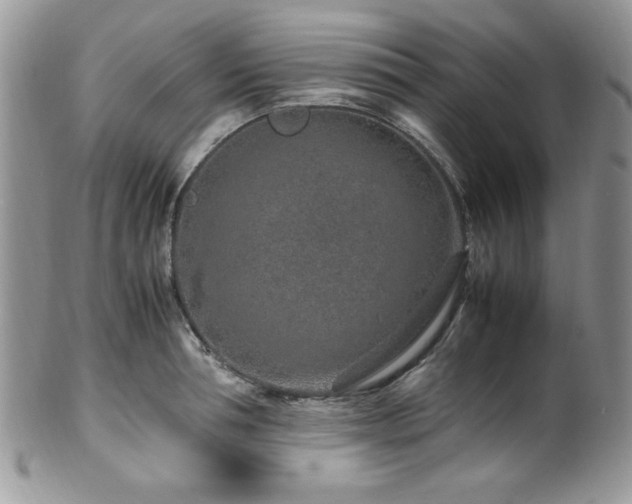 X0000100340994200806051534
