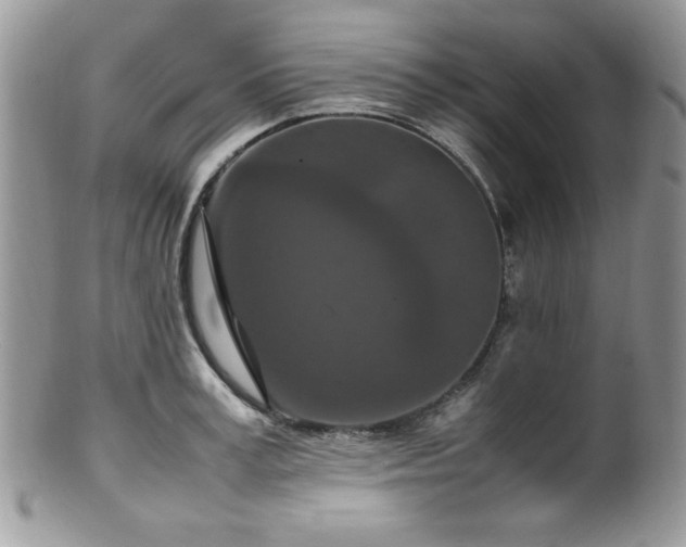 X0000100340995200806051534