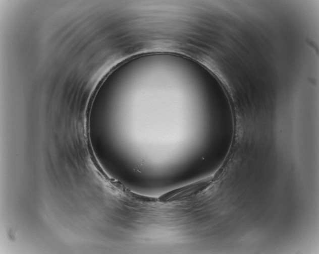 X0000100340996200806051534