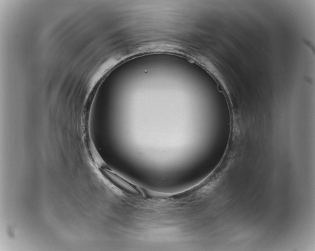 X0000100340997200806051534