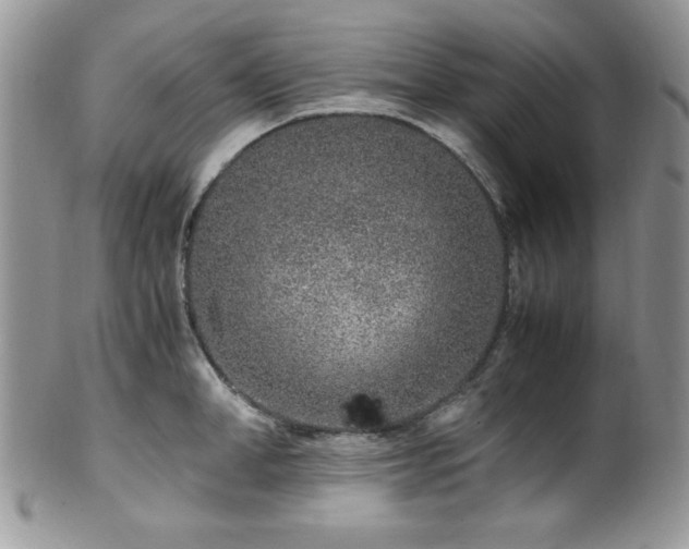 X0000100340998200806051534