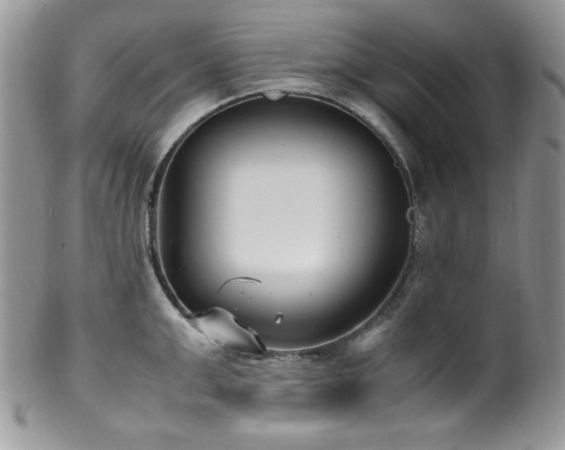 X0000100340999200806051534