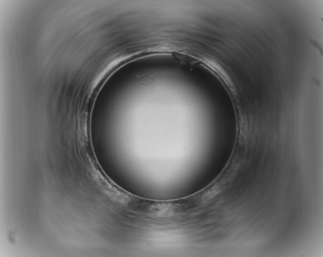X0000100341000200806051534