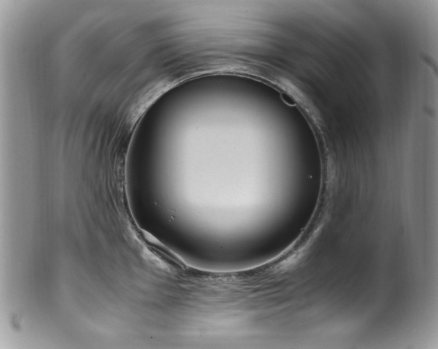 X0000100341001200806051534