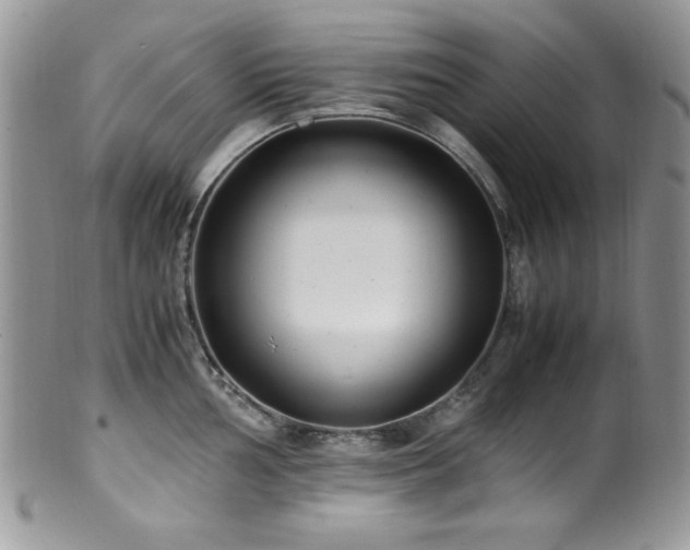 X0000100341002200806051534