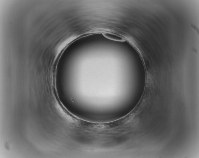 X0000100341003200806051534