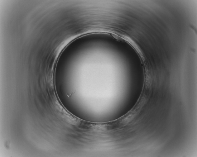 X0000100341004200806051534
