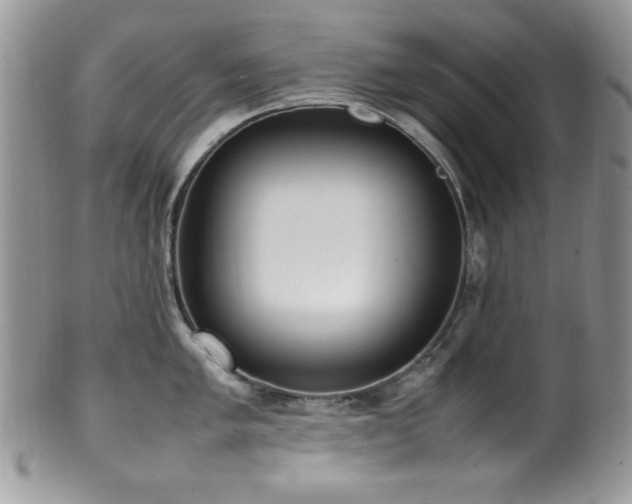 X0000100341005200806051534
