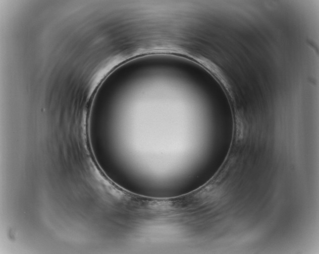 X0000100341006200806051534