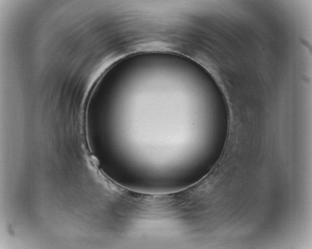 X0000100341008200806051533