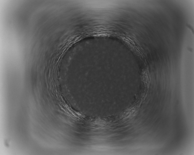 X0000100341009200806051533