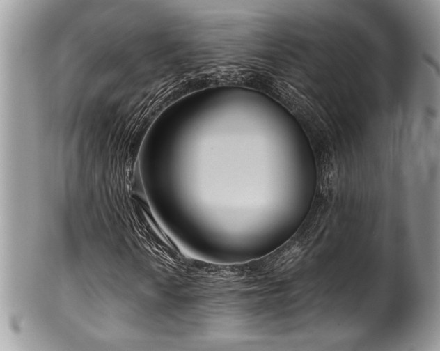 X0000100341010200806051533