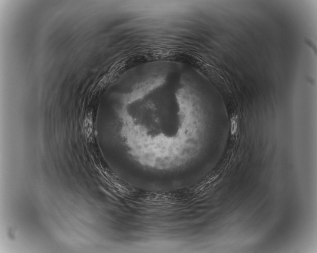 X0000100341011200806051533