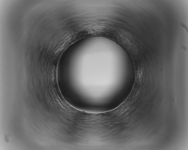X0000100341012200806051533