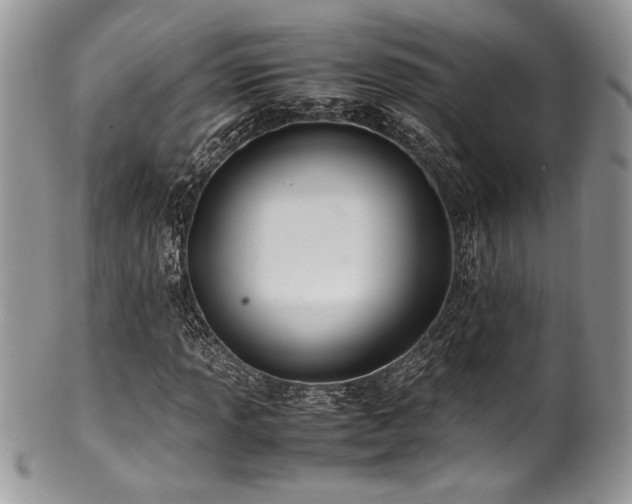 X0000100341013200806051533