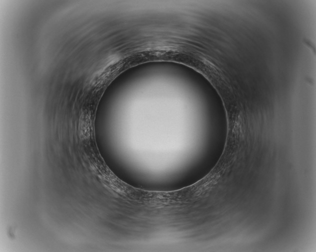 X0000100341014200806051533