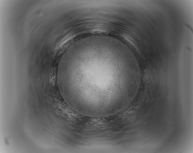 X0000100341015200806051533
