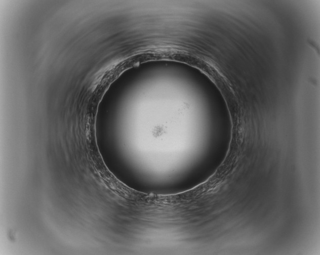 X0000100341016200806051533