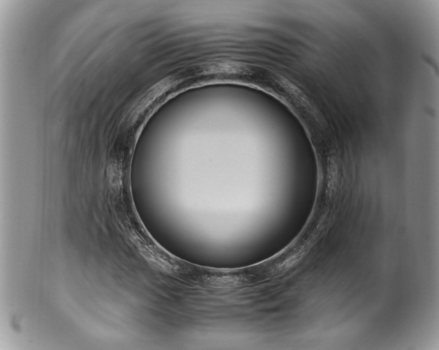 X0000100341017200806051533