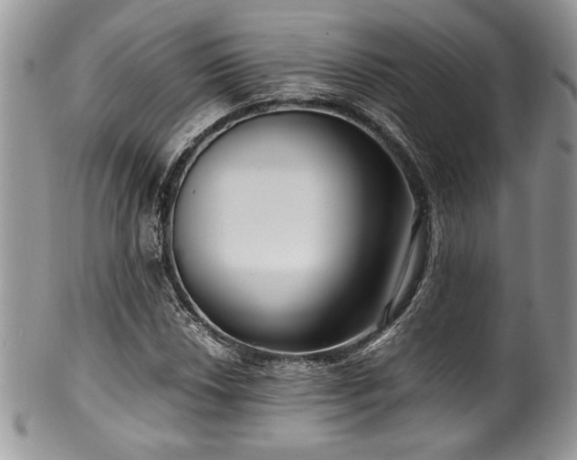 X0000100341018200806051533
