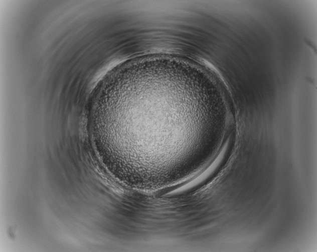 X0000100341019200806051533