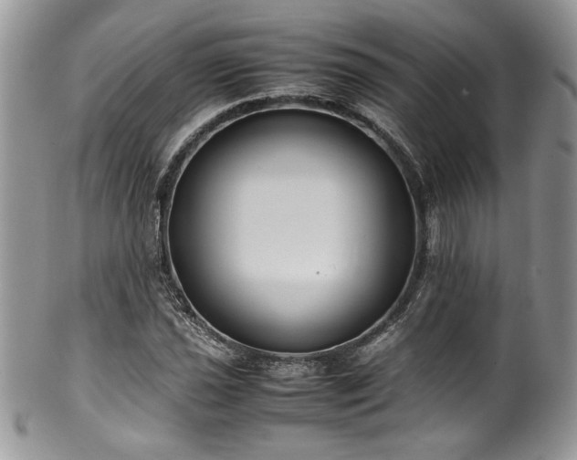 X0000100341021200806051533