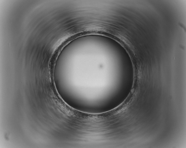 X0000100341022200806051533