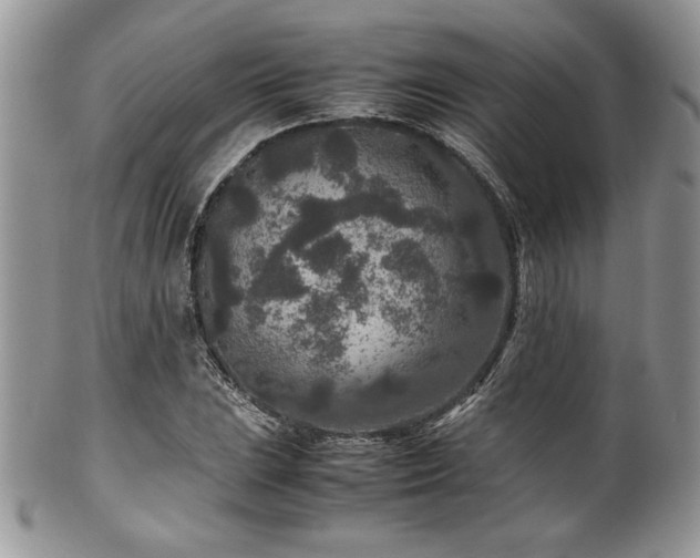 X0000100341023200806051533