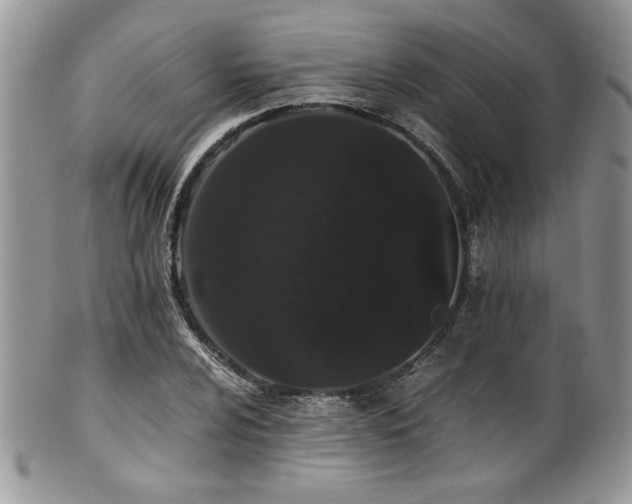 X0000100341024200806051533