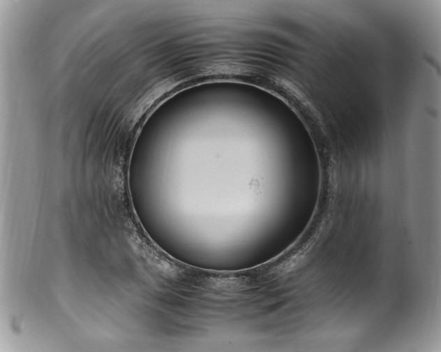 X0000100341025200806051533