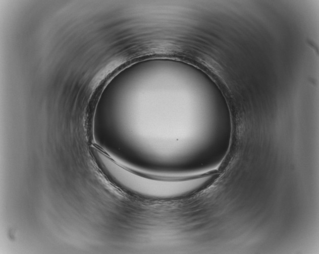 X0000100341026200806051533