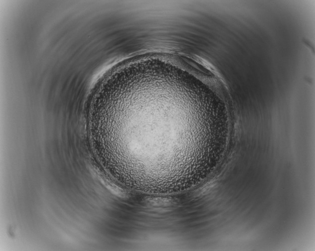 X0000100341027200806051533
