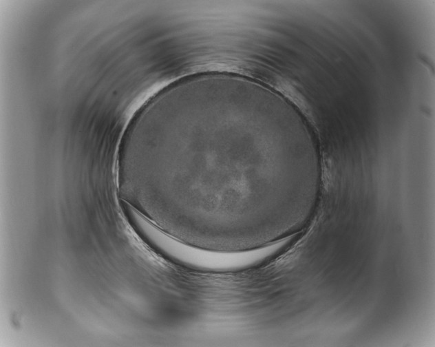 X0000100341028200806051533
