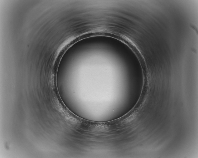 X0000100341029200806051533