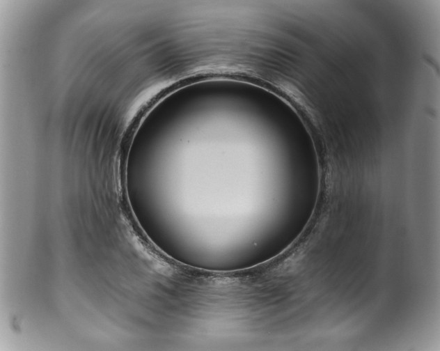 X0000100341030200806051533