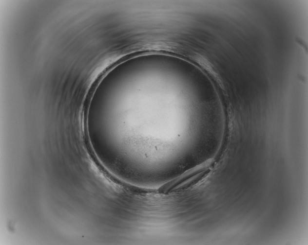 X0000100341032200806051533