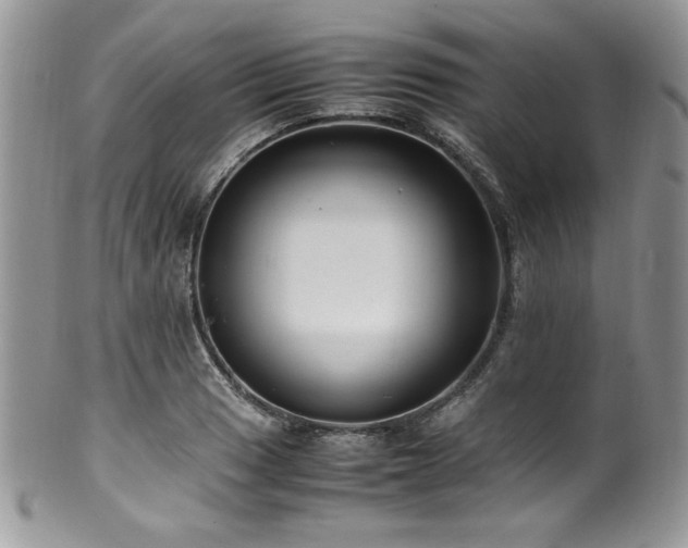 X0000100341033200806051533