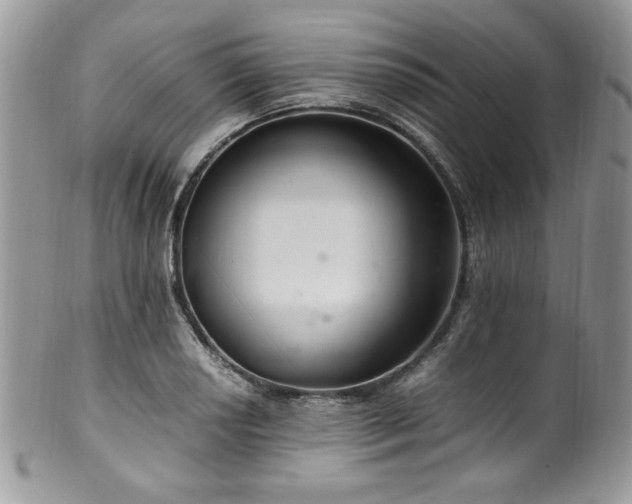 X0000100341034200806051533