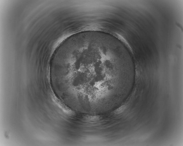 X0000100341035200806051533