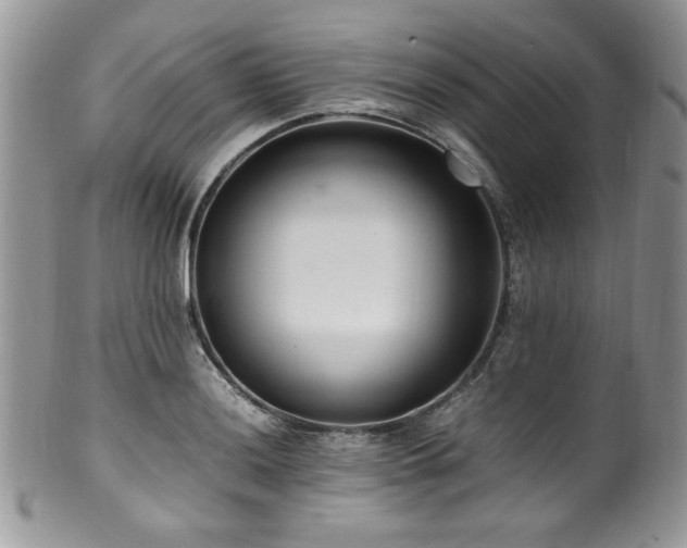 X0000100341036200806051533