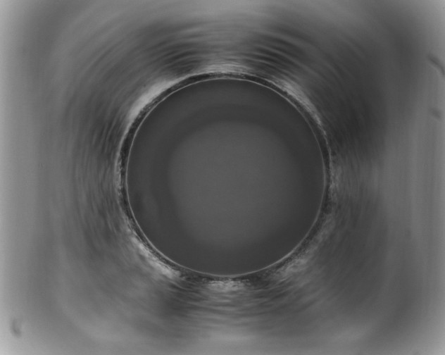 X0000100341037200806051533