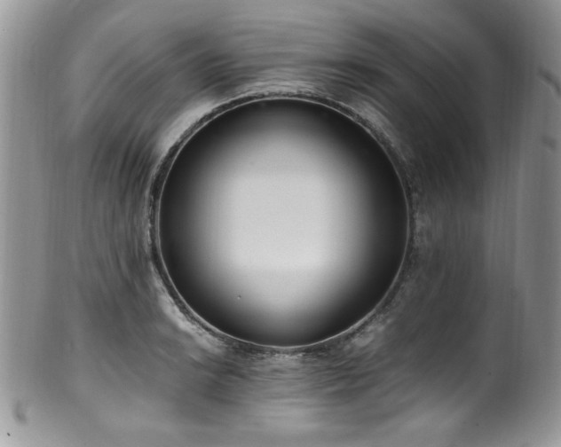 X0000100341038200806051533
