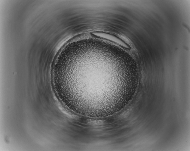 X0000100341039200806051533